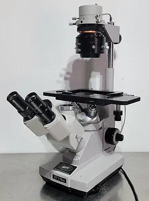 Buy WPI World Precision Instruments 37XA Inverted Phase Contrast Microscope • 349$