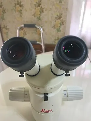 Buy Leica Wild MZ8 Stereo Microscope With 10x Eyepieces • 995$