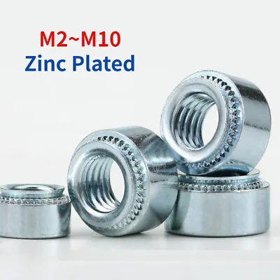 Buy Zinc Plated Rivet Nut / Pressing Plate Nut M2 M2.5 M3 M4 M5 M6 M8 M10 • 1.54$