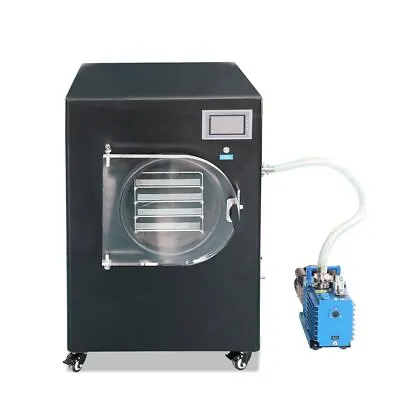 Buy Lab Vacuum Freeze Dryer Lyophilizer Sublimation Drying System With Vacuum Pump  • 6,199$