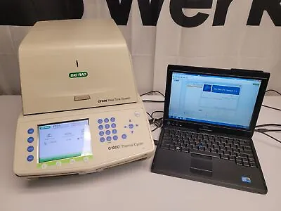 Buy Bio-Rad CFX96 Real-Time PCR Detection System, With Warranty • 16,575$
