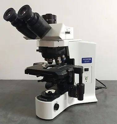 Buy Olympus Microscope BX41 With Trinocular Head And Fluorites • 6,900$