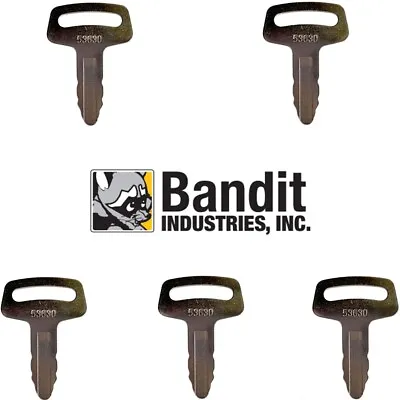 Buy 5 Bandit Chipper Ignition Keys • 13$