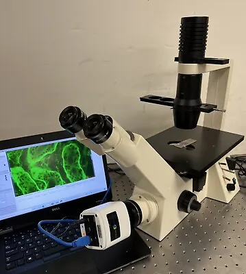 Buy Zeiss Axiovert 25 CFL LED Fluorescence Phase Contrast Microscope CAM + Laptop • 6,350$