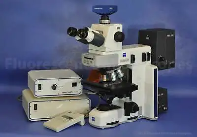 Buy Zeiss Axio Scope.A1 Upright Fluorescence Microscope - Objectives Not Included • 8,000$