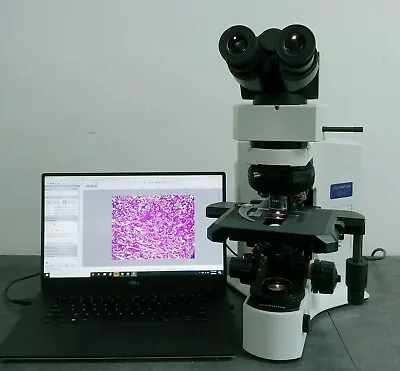 Buy Olympus Microscope BX41 With 2x Apo And Fluorite Objectives And 10 MP Camera • 6,995$