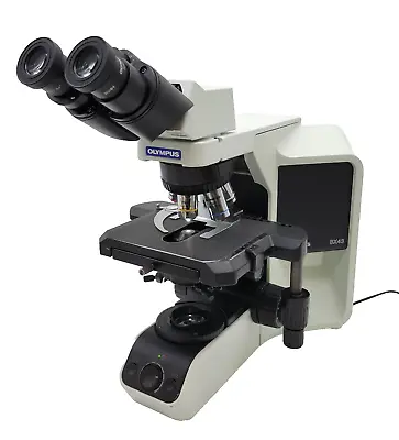 Buy Olympus Microscope BX43 With Fixed Binocular Head And 100x • 5,450$