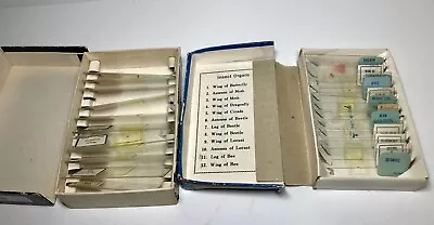 Buy Vintage Assorted Prepared Microscope Slides • 11.75$