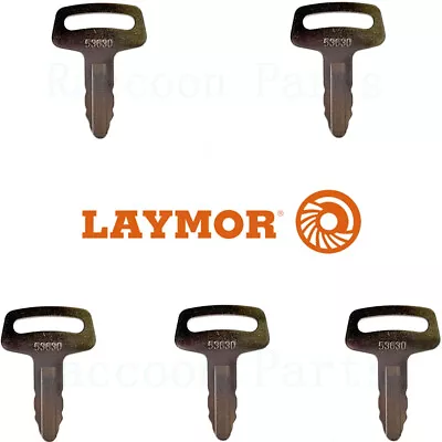Buy 5 Lay-Mor Sweepmaster Ignition Keys 468090 Wacker Neuson Light Tower And Kubota • 12$