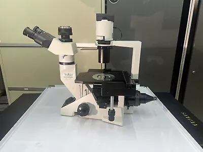 Buy Olympus CKX41 Inverted Phase Contrast Microscope • 4,200$