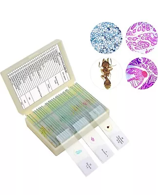 Buy 30 Microscope Slides With Specimens For Kids, Prepared Microscope Slides For ... • 30$