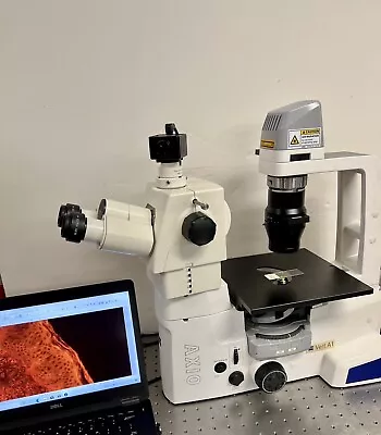 Buy Zeiss Axiovert A1  Inverted LED Fluorescence Phase Microscope +Laptop &CAM • 9,450$