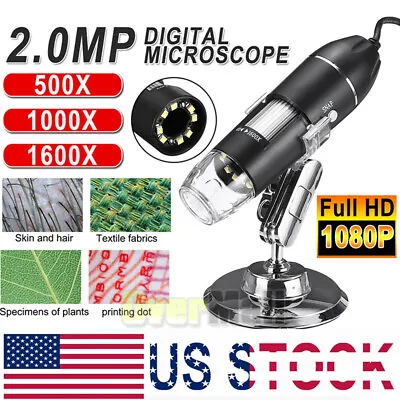 Buy 1000X/1600X 8 LED USB Zoom Digital Microscope Hand Held Biological Endoscope US • 25.93$
