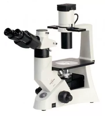 Buy ACCU-SCOPE 3032 Inverted Phase Contrast Microscope Series • 999$