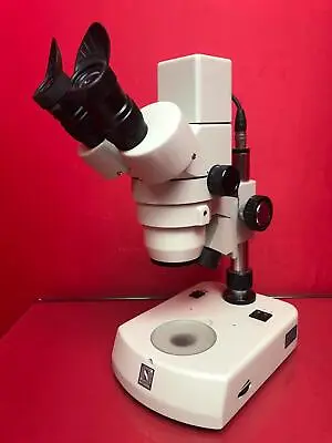 Buy National DC5-420TH Digital Zoom Stereo Microscope With 3.0MP Camera S/N 10421422 • 450$