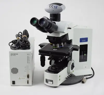 Buy OLYMPUS BX61 BX-UCB Motorized Fluorescence Microscope CC12 Soft Imaging System • 9,000$