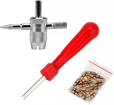 Buy 4 In 1 Tire Repair Tool And Single Head Valve Core Remover Tool With 20Pcs Valve • 15.34$