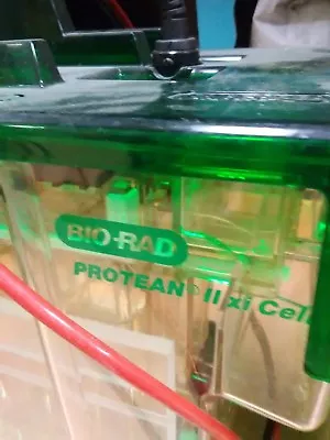 Buy Bio-Rad Protean II Xi, Vertical Tank, Electrophoresis Chamber, Complete W/leads. • 179$