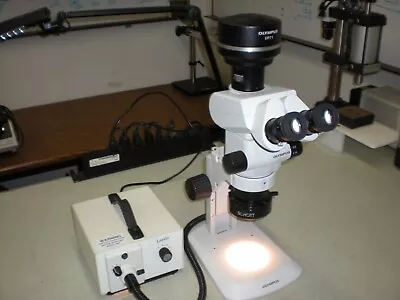 Buy Olympus SZX7 Microscope With Stand, Light System, Camera Adapter And DP71 Camera • 4,599$